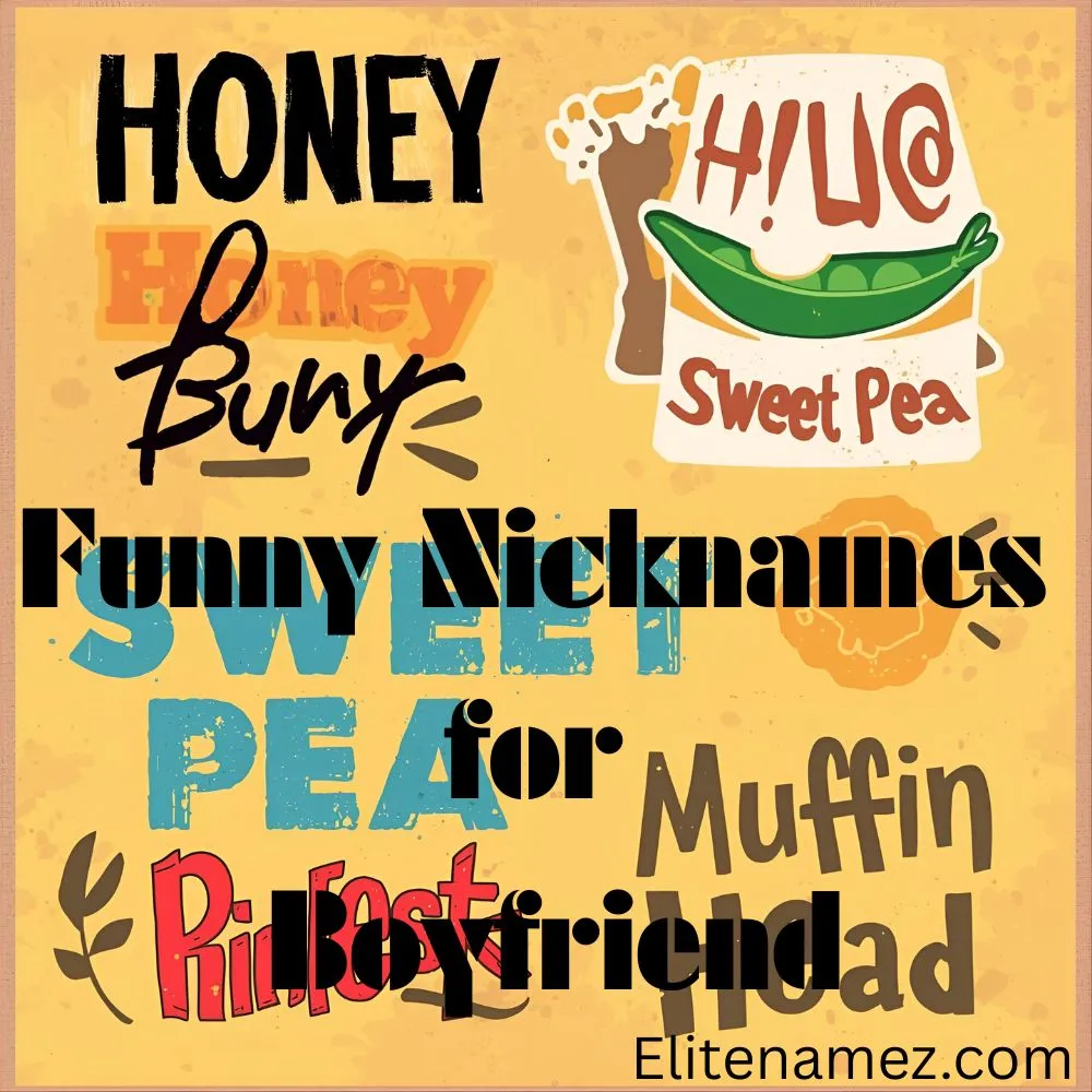 Funny Nicknames for Boyfriend